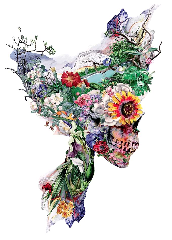 Digital Art.