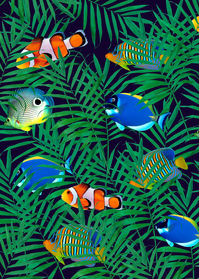 aquarium fish