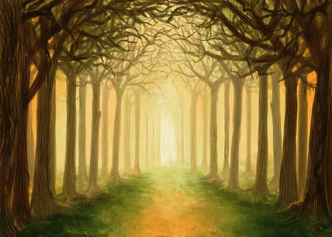 Light Forest