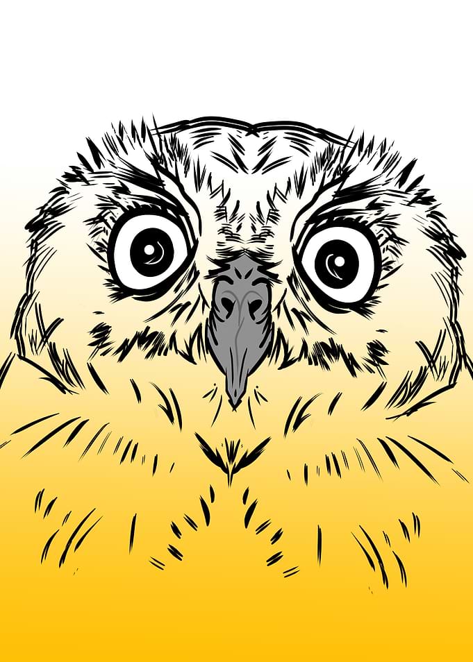 Baby Owl Design