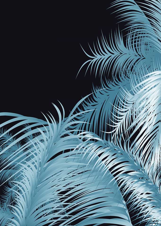 Palm trees