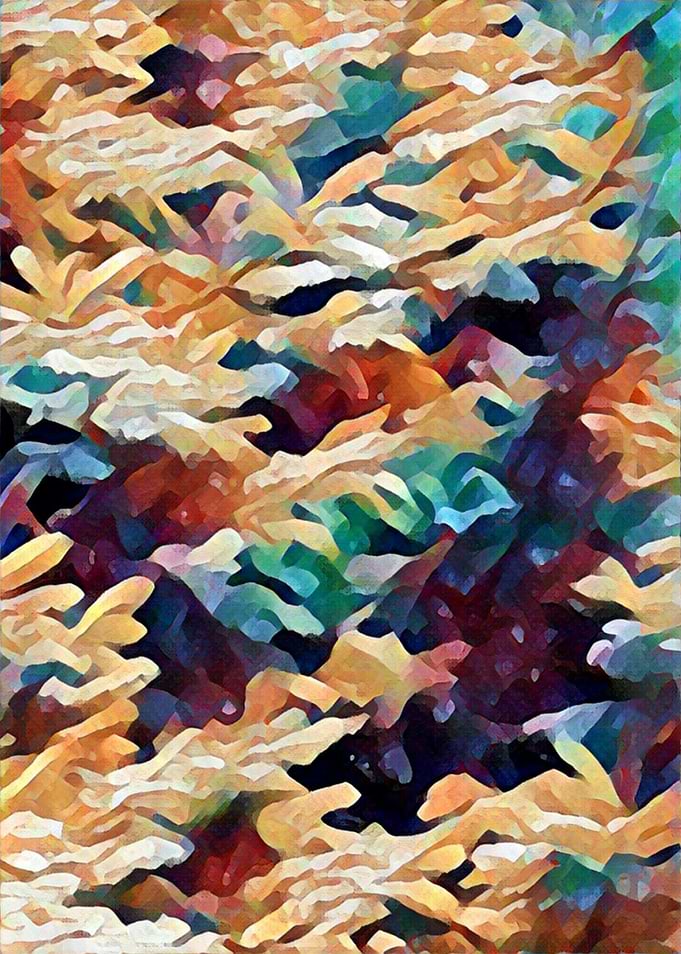 Colorful seaweed