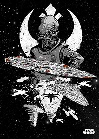 Rebel Fleet