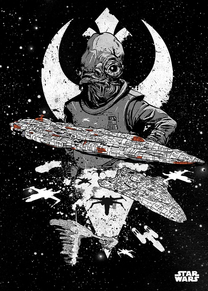 Rebel Fleet