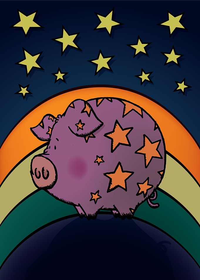 Peter The Magic Pig
