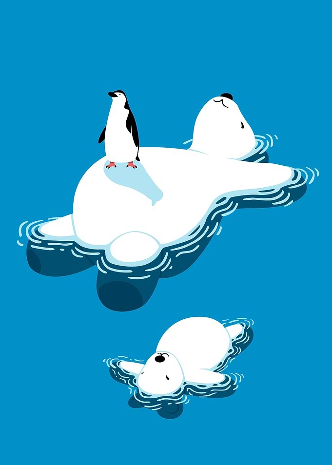 Polar bear and penguin
