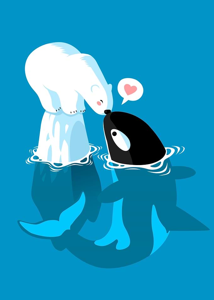Whale bear