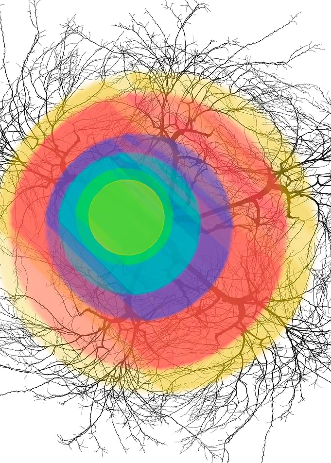 abstract rainbow
