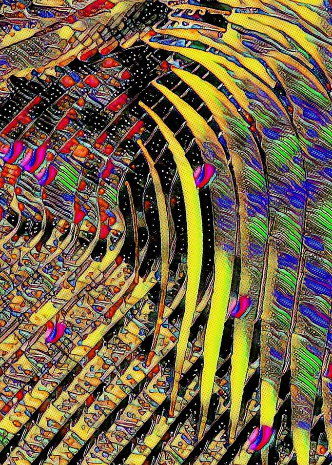 Cosmic sailing