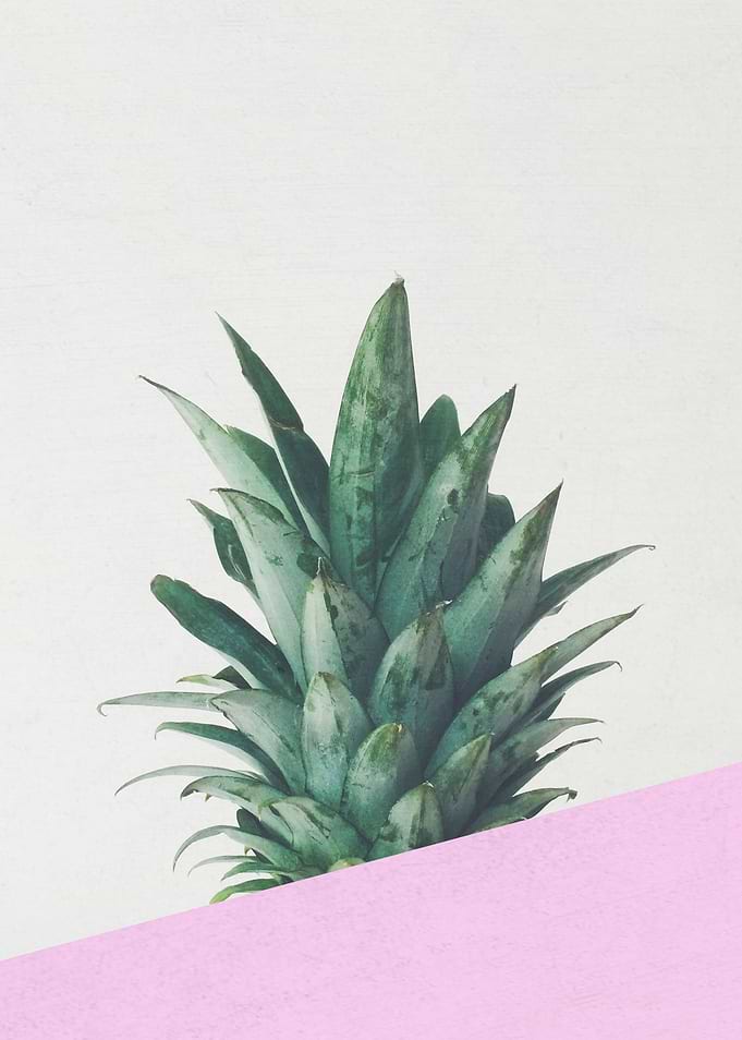 Pineapple Dip