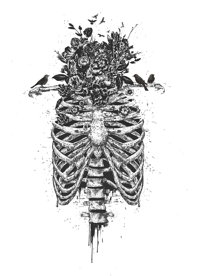 Tree of life