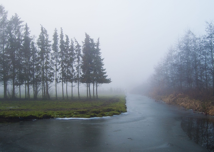 A foggy day turned into out to be an inspiring day for ...