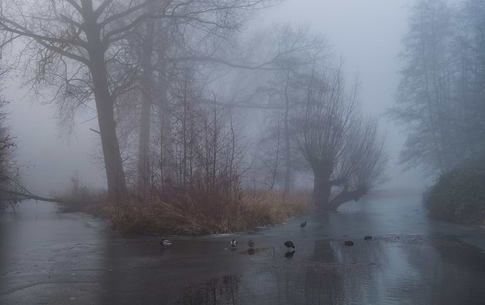 A walk in the park with my dog turned into a beautiful ...