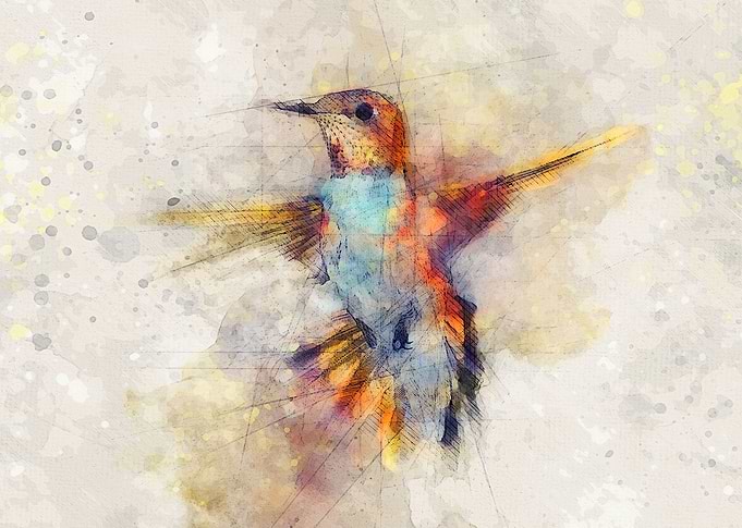 Hummingbird