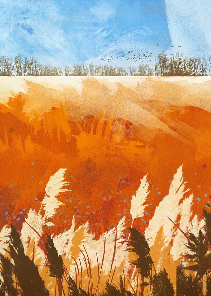 Golden Afternoon