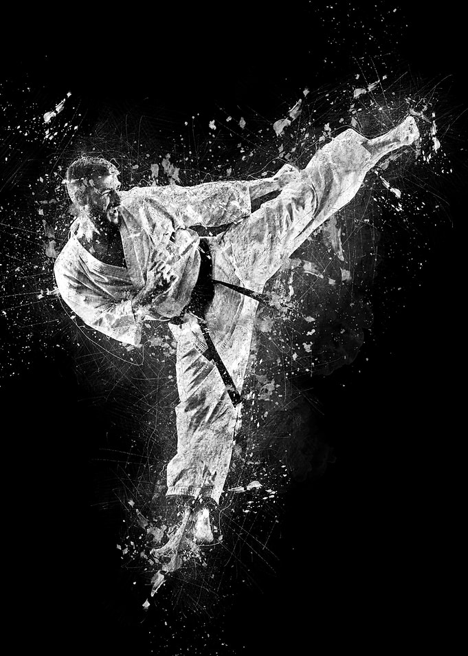 Karate - Side Kick