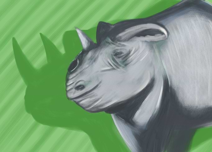 Black Rhino?