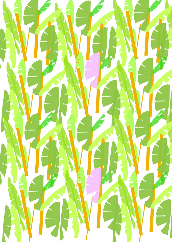 Tropical Plantation