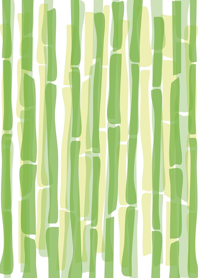 Bamboo