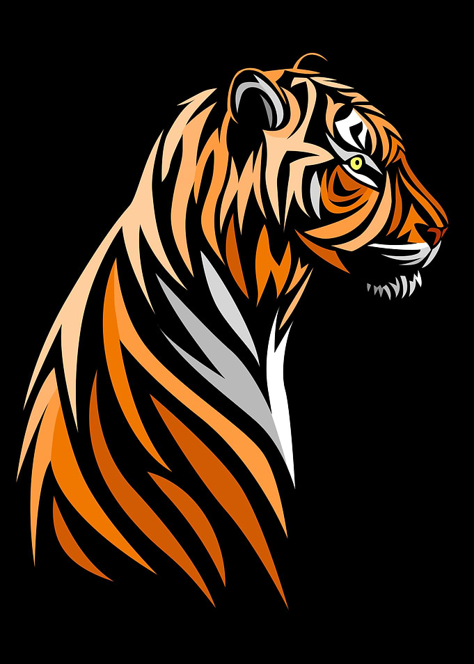 Tribal tiger