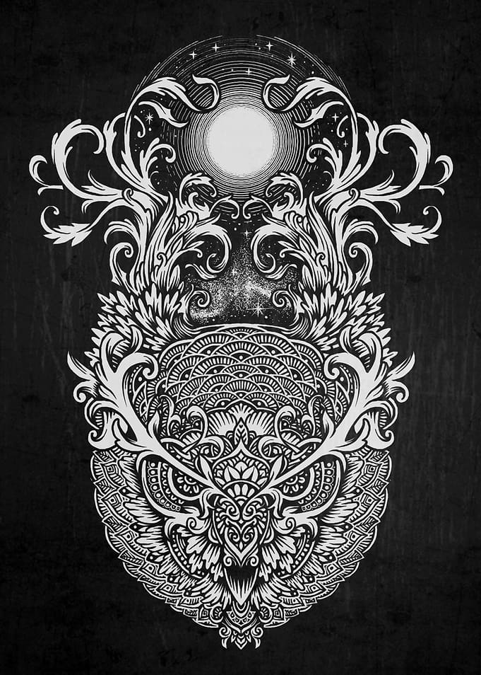 :OWL AND THE MOON