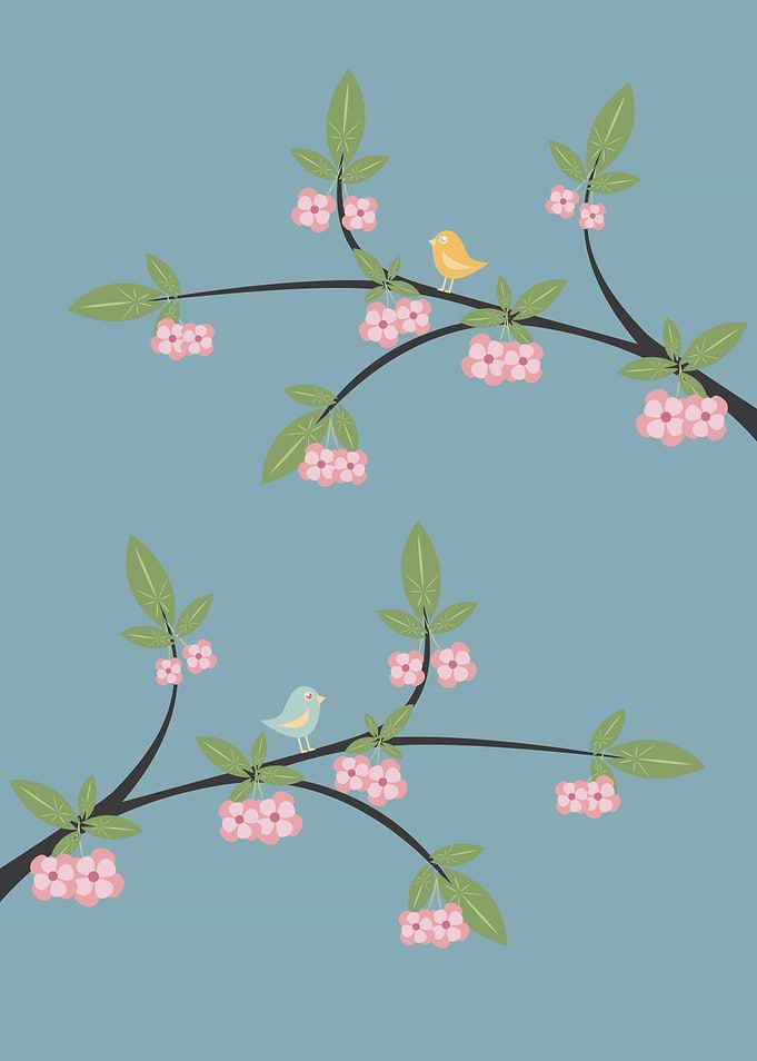 Cherry blossom spring illustration.