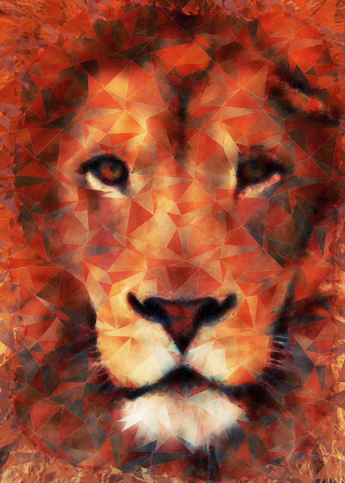 Lion.