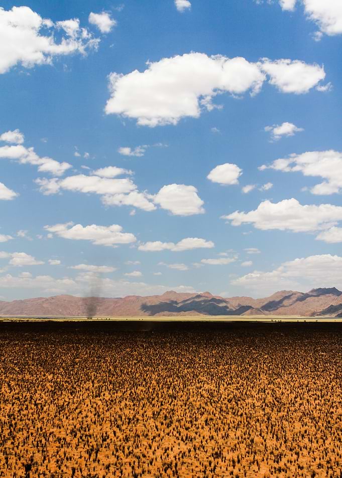 This shot was taken in Namibia, Farm Kanaan 2011 after ...