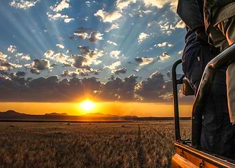 Latest drop