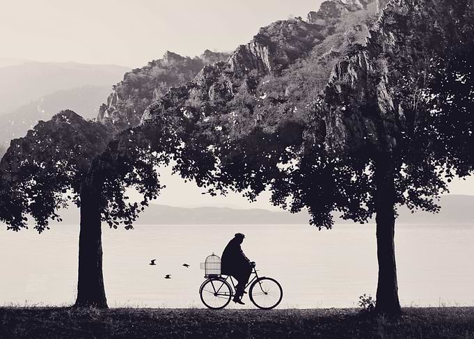 Into the Nature