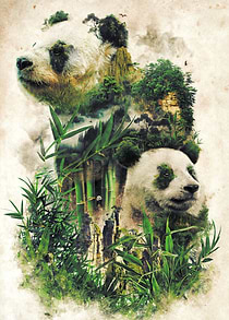 Another in my surreal nature series of animals in their ...
