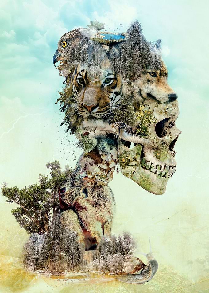 Digital Art