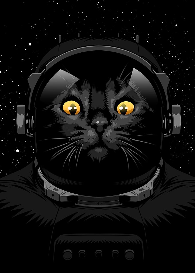 Cat astronaut