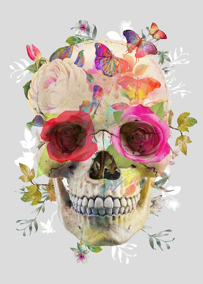 Skull