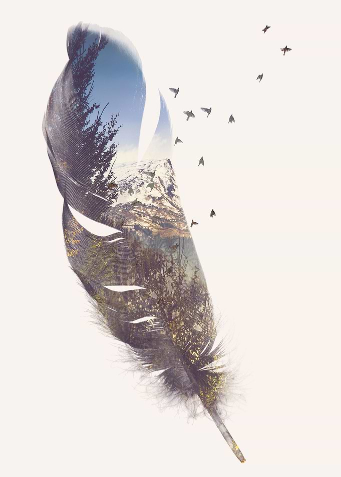 Feather