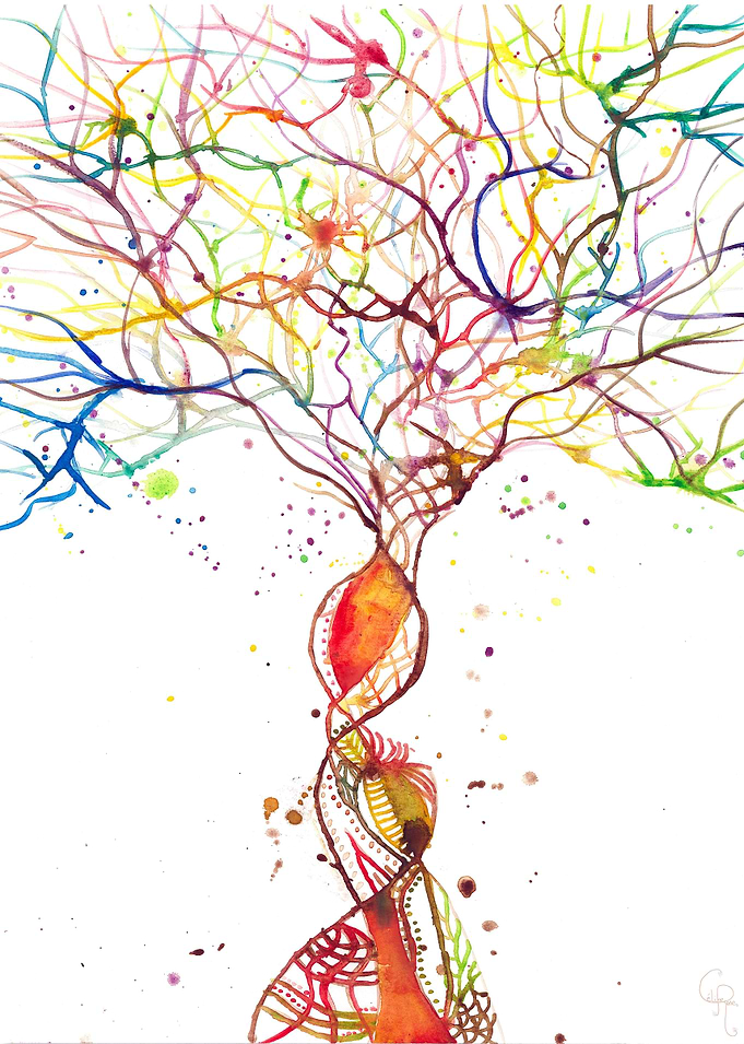 l'arbre des possibles