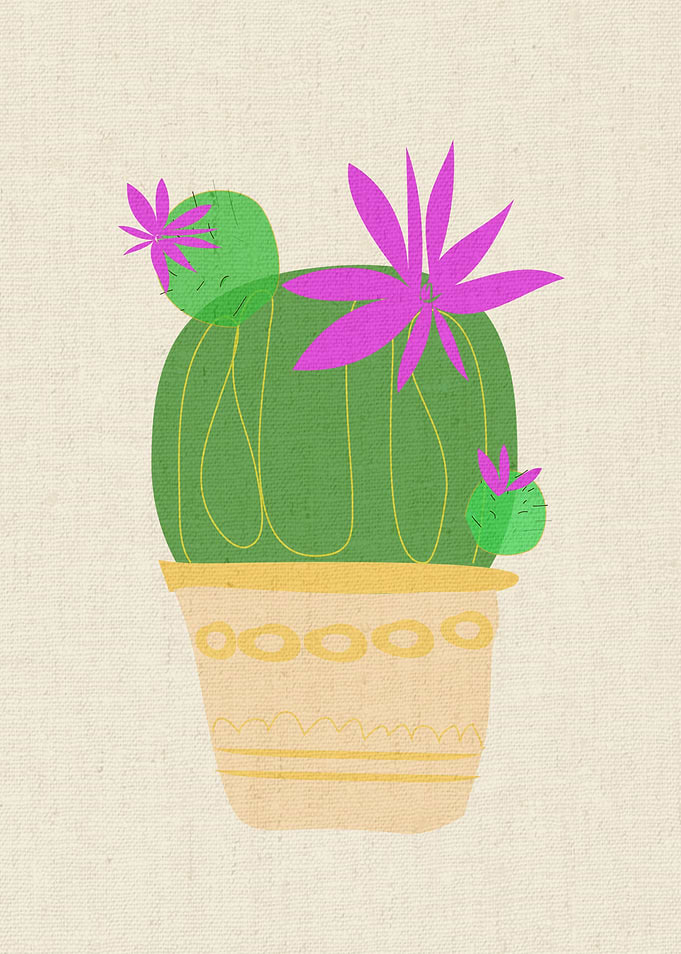 The Blooming Cactus