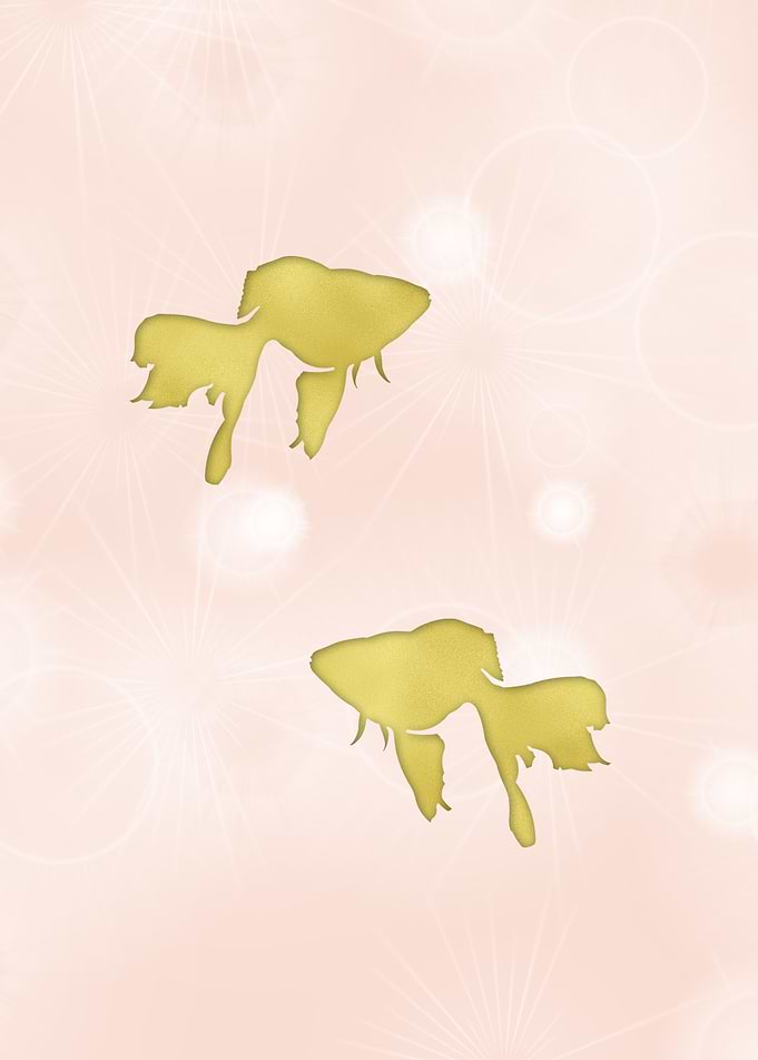 Goldfish silhouettes