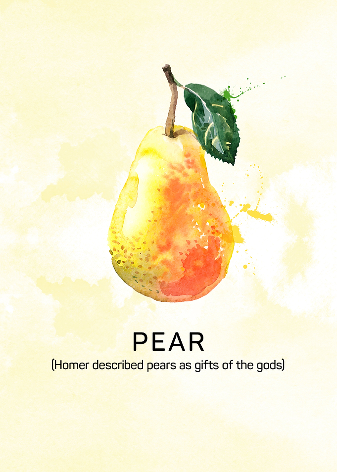 Fun facts about fruits: Homer described the pear is the ...