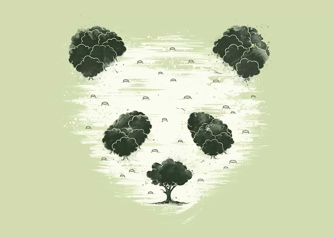 Deforestation