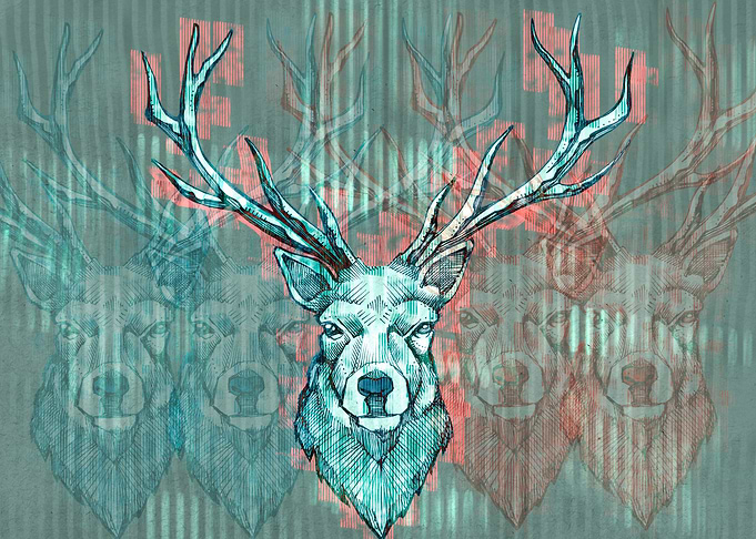 Hand drawn Illustration or drawing of a long horn deer
