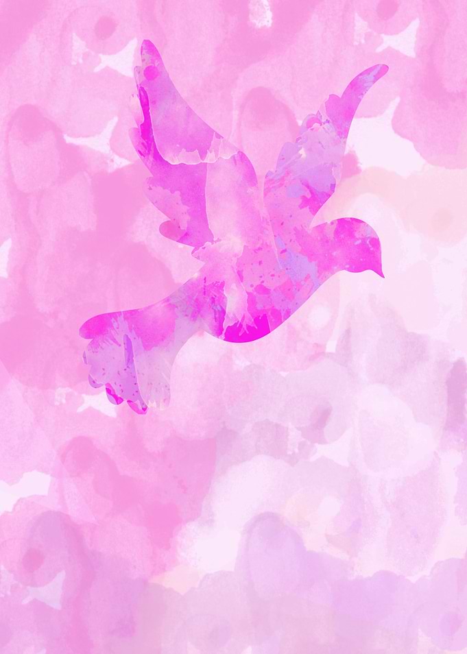 Abstract Flying Dove