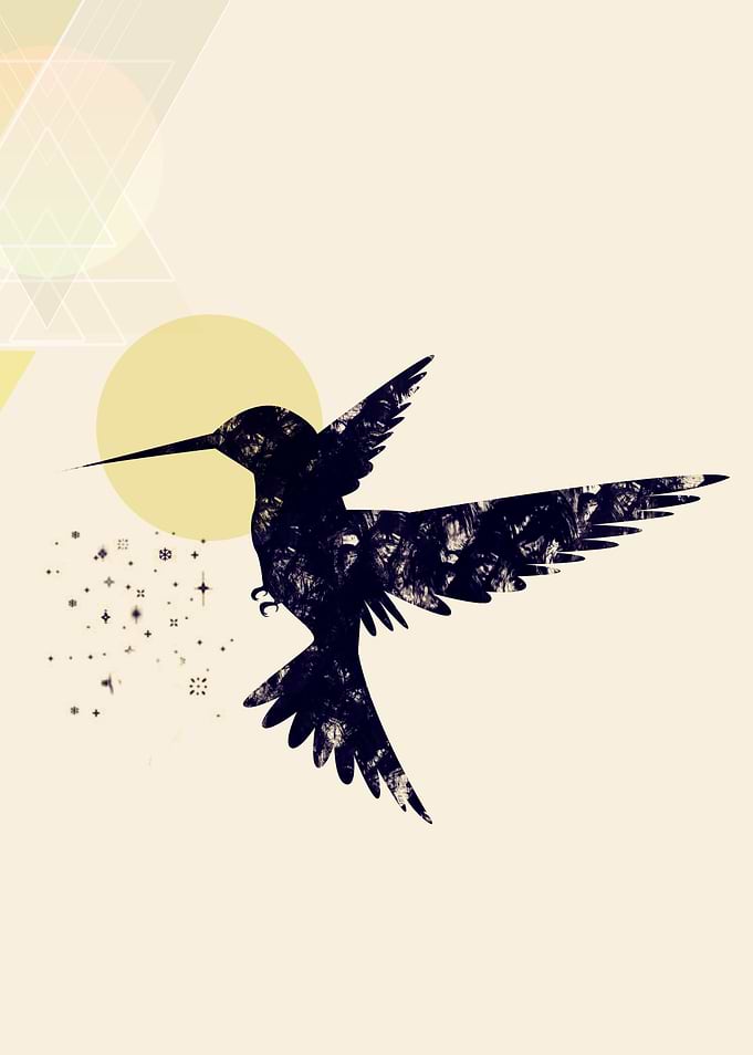 Bird X