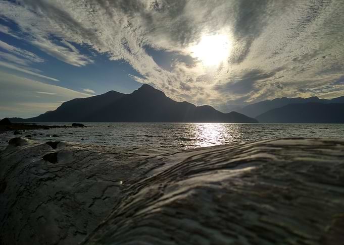 Drift Wood Sky