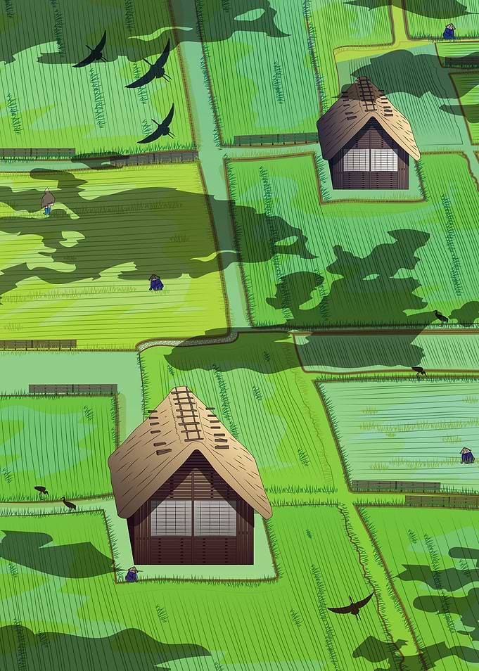 Rice paddy field