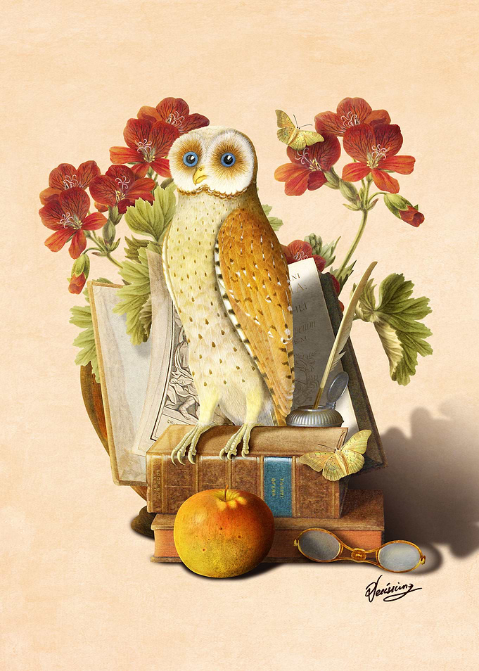 Apprentice Owl