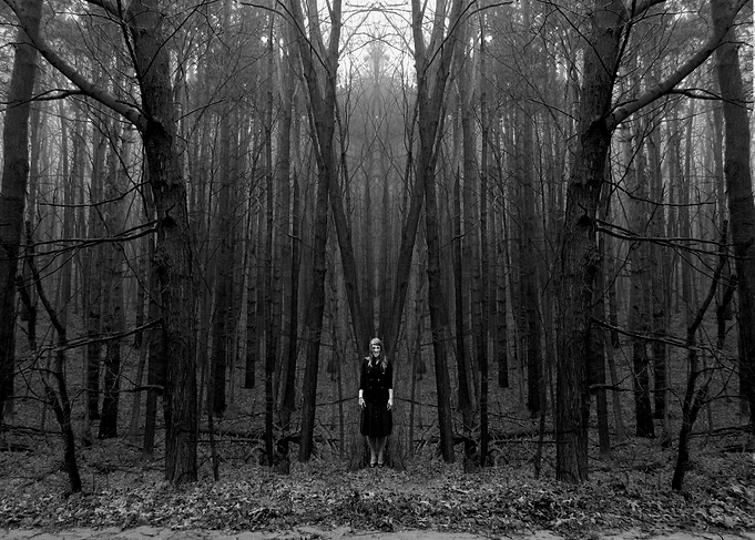At the Edge of The Woods