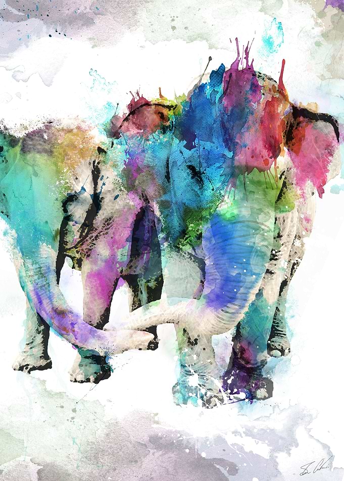 Elephant Love