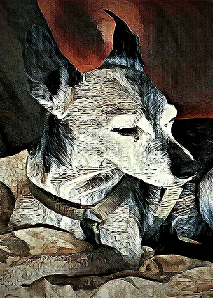 My Buddy II
