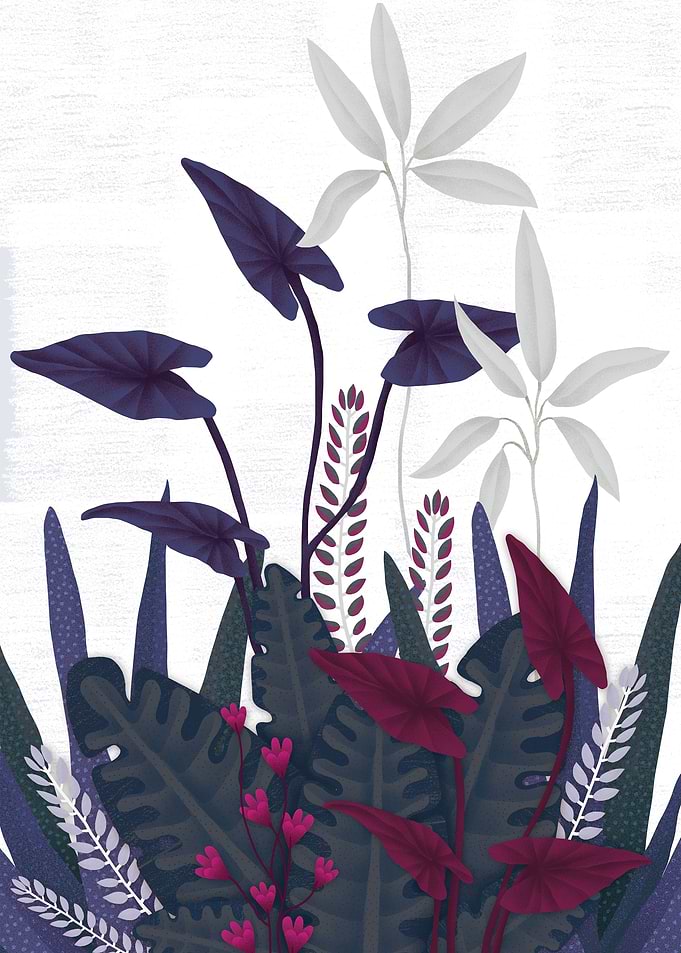 plants
